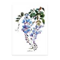 Image 1 of Enkele postkaart A6 wisteria