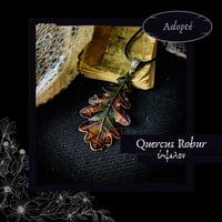 Image 20 of ☽ Quercus Robur ☾