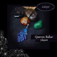 Image 13 of ☽ Quercus Robur ☾