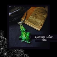 Image 1 of ☽ Quercus Robur ☾