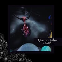 Image 3 of ☽ Quercus Robur ☾