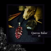 Image 7 of ☽ Quercus Robur ☾