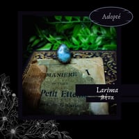Image 2 of ☽ Larima ☾