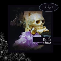 Image 4 of ☽ Rutila ☾