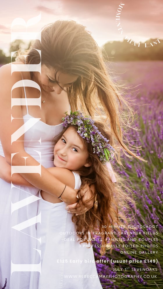 Image of Lavender & Wildflower Minis - EARLY BIRD