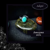 Image 2 of ☽ Amazona ☾