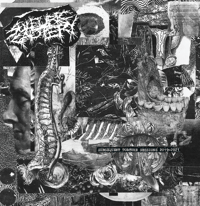 Sulfuric Cautery - Subsequent Torture Sessions 2019 - 2021 12"