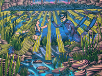 Image 3 of Dave Matthews Band - 5.30.25 - Cuyahoga Falls, OH