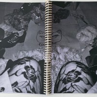 Image 13 of COOKIE & PANDORA by CHLOE MARATTA!