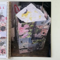 Image 11 of COOKIE & PANDORA by CHLOE MARATTA!