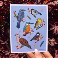 Springtime Birds of Japan Postcard Print
