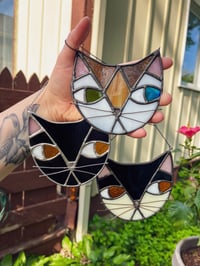 Image 2 of Sun Cat-cher