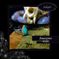 Image 1 of ☽ Amazona ☾