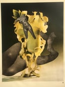 Image of Glass Flowers