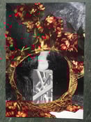 Image of Healing Open Wounded