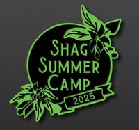 Image 1 of 2025 Glow in the Dark Pin