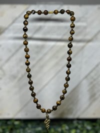 Tiger Eye Snake 