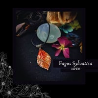 Image 1 of ☽ Fagus Sylvatica ☾