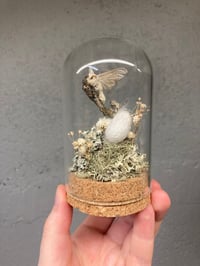 Image 3 of Silk Moth Dome