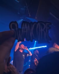 Image 3 of Swancore Vinyl Sticker