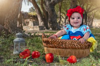 Image 3 of Retrato infantil Setter 