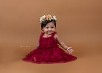 Image 4 of Retrato infantil Setter 