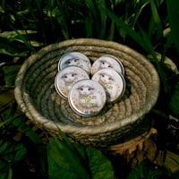 Image 1 of Lanolin Lip Butter