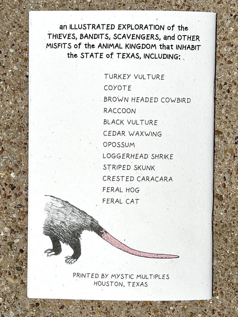 Scoundrels of Texas Image 4