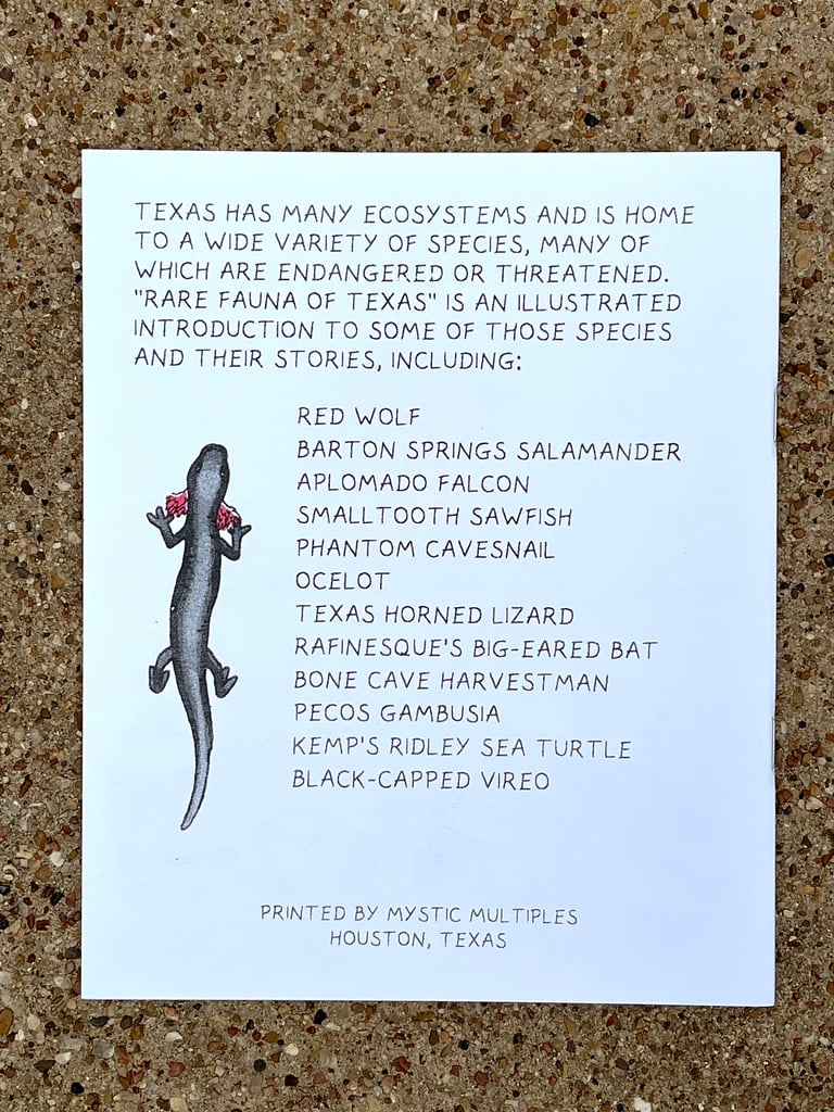 Rare Fauna of Texas Image 3