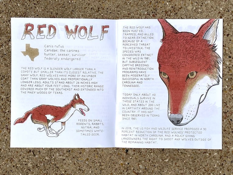 Rare Fauna of Texas Image 2