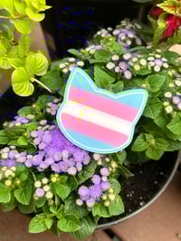 Image 2 of Hair Clips
