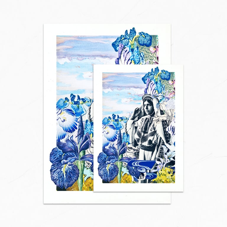 ‘faqqu’a iris’ – wildflowers of palestine, fine art charity prints Image 2