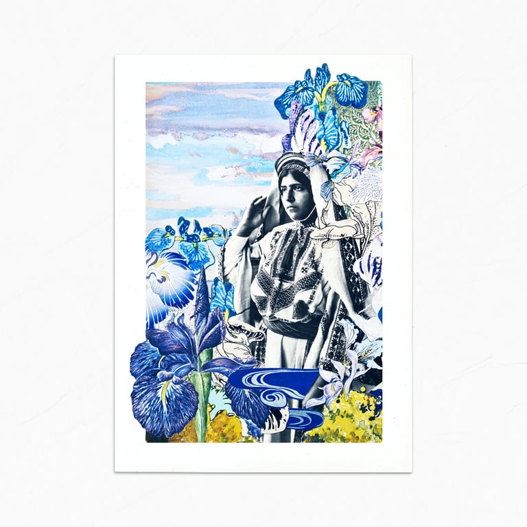 ‘faqqu’a iris’ – wildflowers of palestine, fine art charity prints Image 4