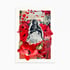 ‘palestinian poppy’ – wildflowers of palestine, fine art charity prints Image 4