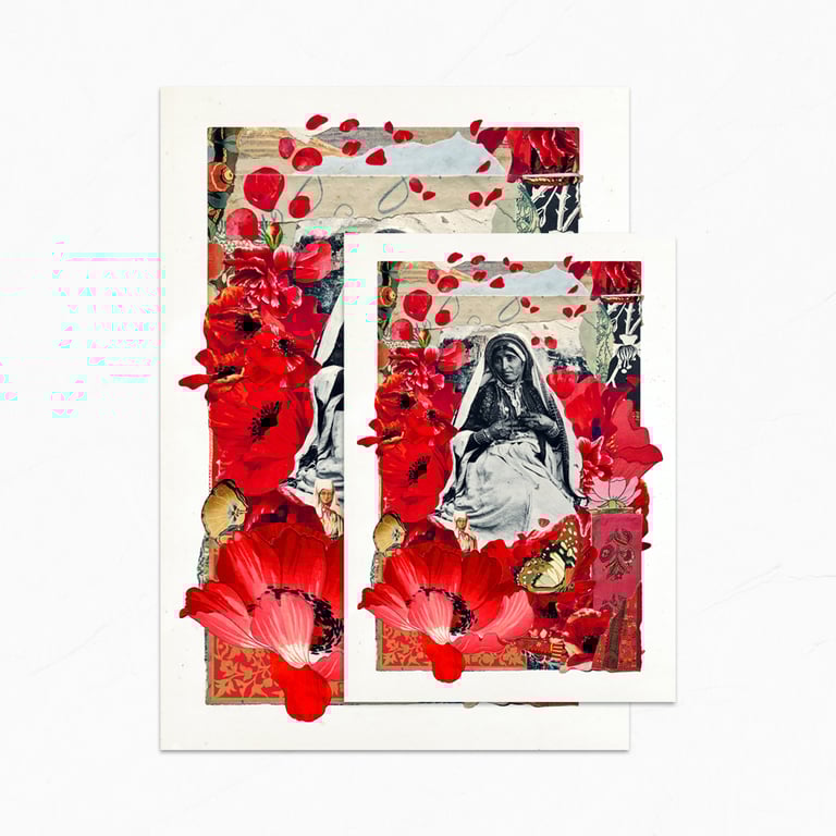 ‘palestinian poppy’ – wildflowers of palestine, fine art charity prints Image 2