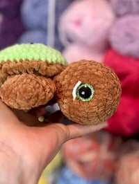 Image 4 of Kiwi Sea Turtle 