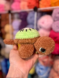 Image 2 of Kiwi Sea Turtle 