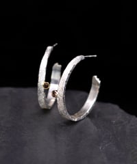 Image 4 of XENOLITH HOOPS
