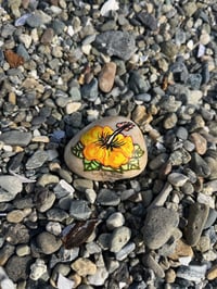 Yellow Hybiscus