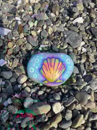 Sunrise Shell