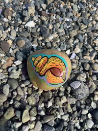 Orange Spiral Shell