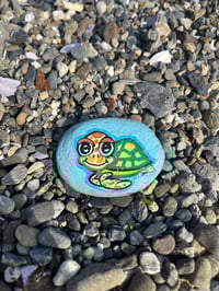 Little Turtle 2