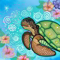 What a turtle sees 
