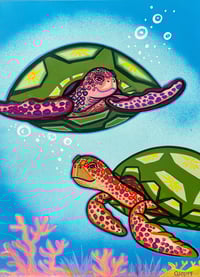 Honu and Coral