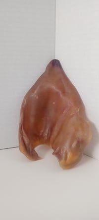 Image 1 of Pig Ears 4 ct