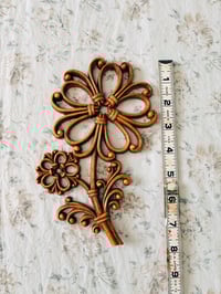 Image 4 of woodland wallflowers set