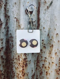 19mm Brown Spot Button Studs