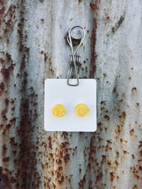 Yellow Rose Studs