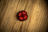 Image 1 of Calgary beaded poppies 