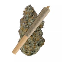 Image 1 of GMO Cookies (100% THCa .75 grams Pre-roll)